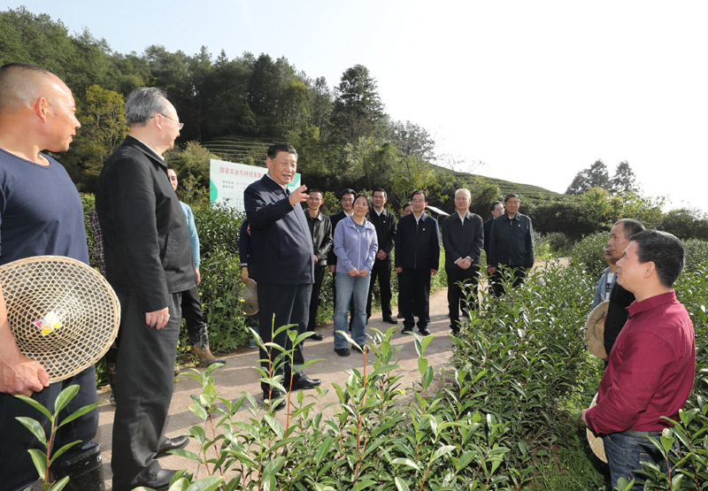 3月22日至25日，中共中央總書記、國(guó)家主席、中央軍委主席習(xí)近平在福建考察。這是22日下午，習(xí)近平在南平武夷山市星村鎮(zhèn)燕子窠生態(tài)茶園，同科技特派員、茶農(nóng)親切交流，了解當(dāng)?shù)夭璁a(chǎn)業(yè)發(fā)展情況。新華社記者 鞠鵬 攝